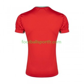 Tenue Iran Exterieur 2026 Maillot de Foot